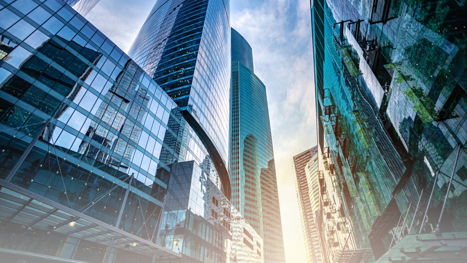 Modern glass skyscrapers